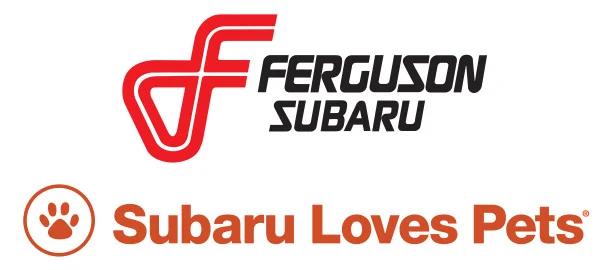 Ferguson Subaru